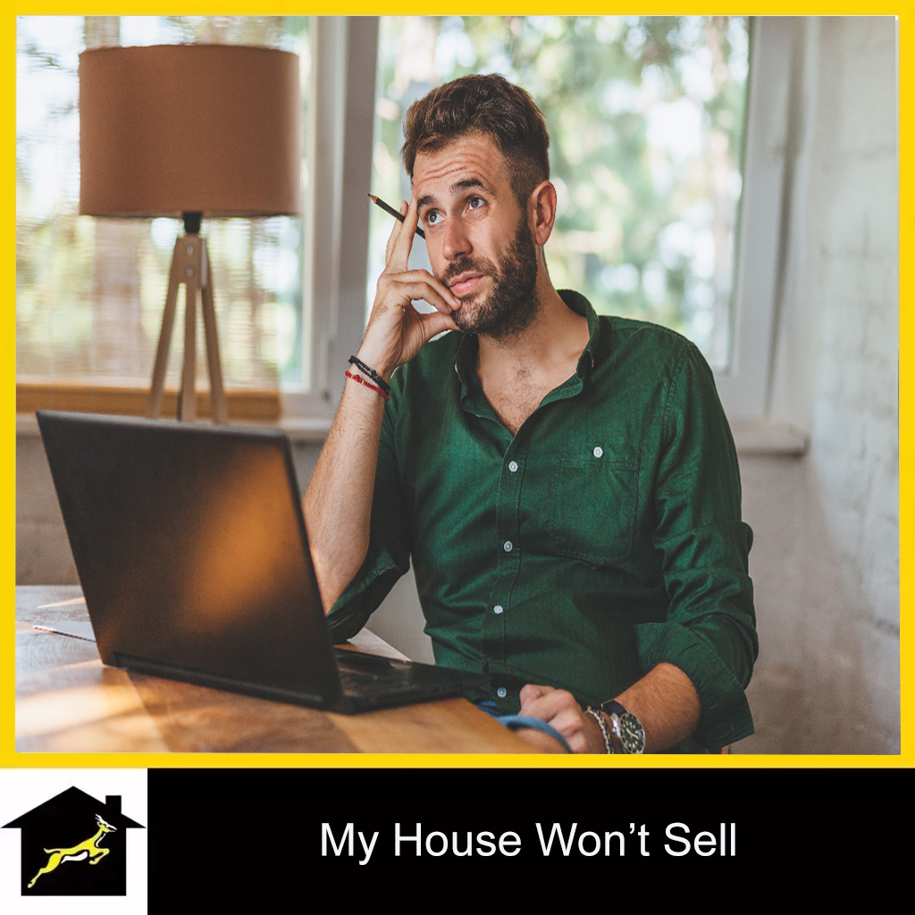 Why is my house not selling?  Dan Green’s guide to everything you need to  know to get a sale
