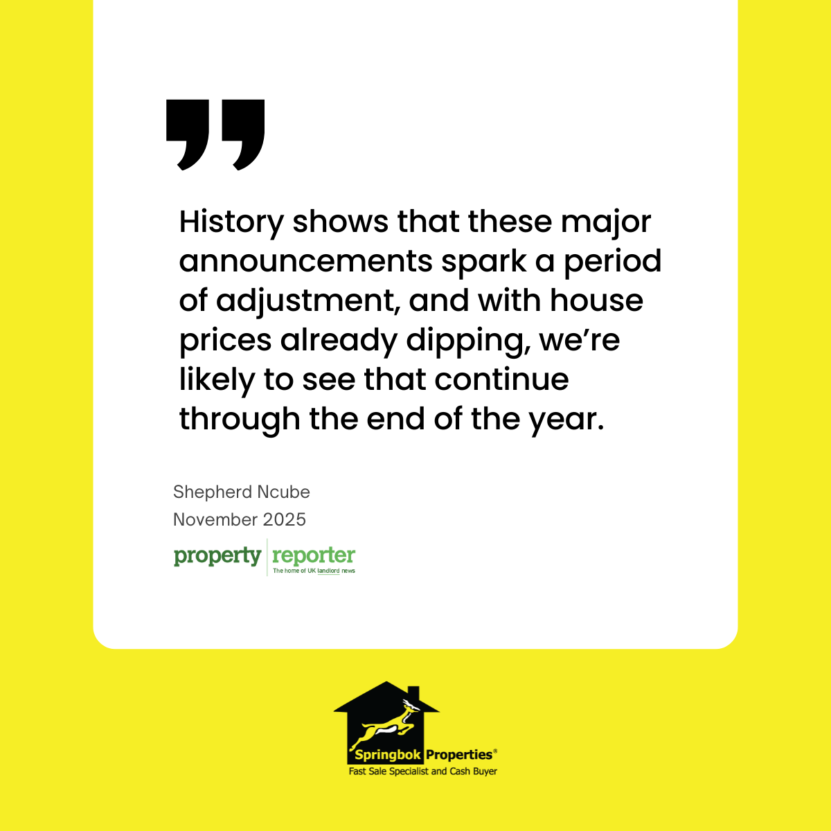 Springbok featured in Property Reporter