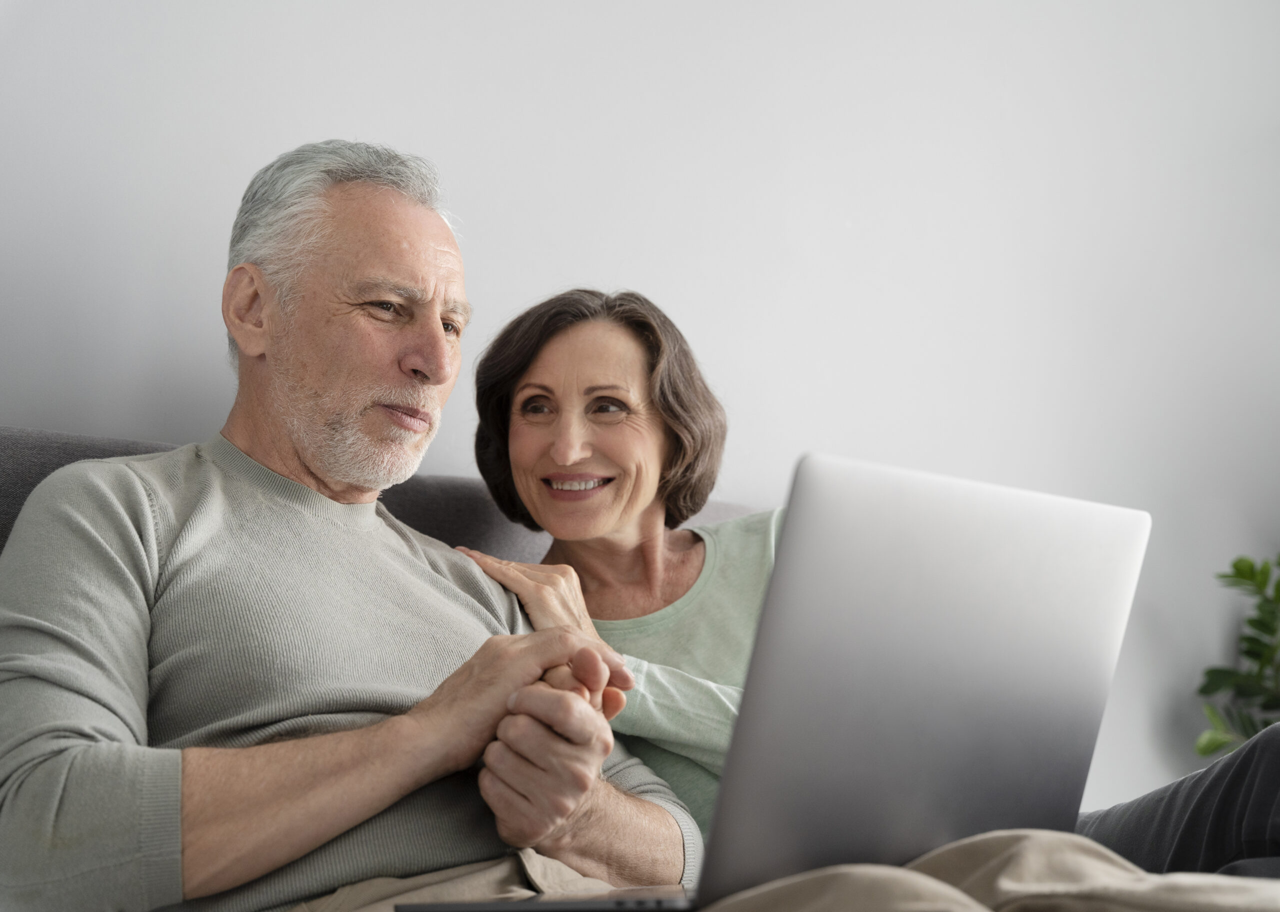 What Services Does Springbok Offer? – Complete Guide for UK Homeowners ...